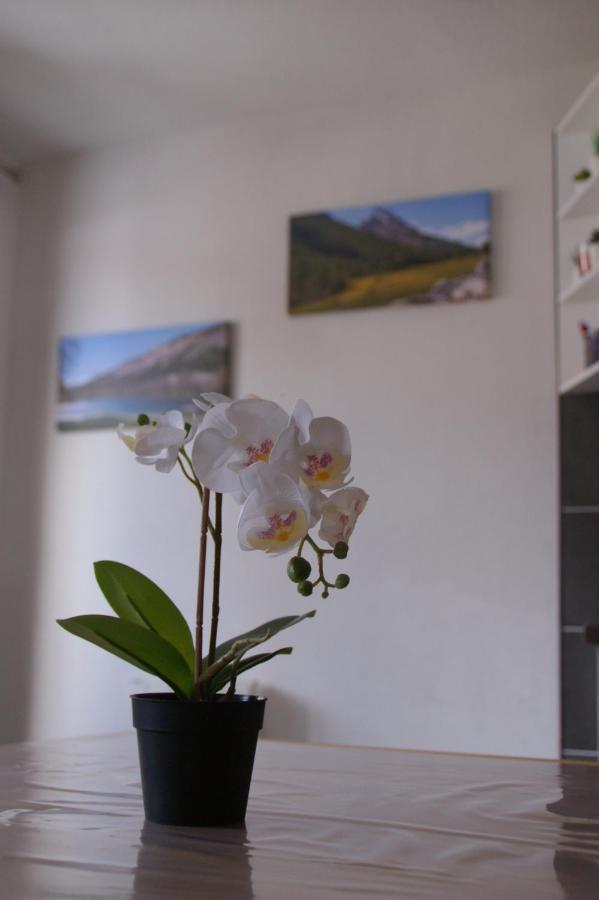 Appartement Le Guisanel à Briançon Extérieur photo